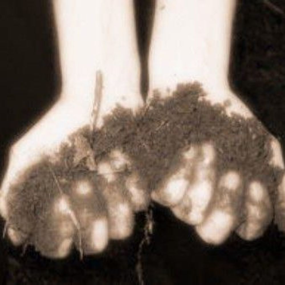 Meet your Posher, Abbie